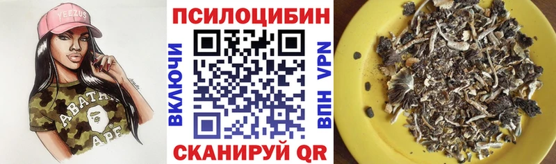 как найти закладки  Бутурлиновка  Псилоцибиновые грибы Psilocybine cubensis 
