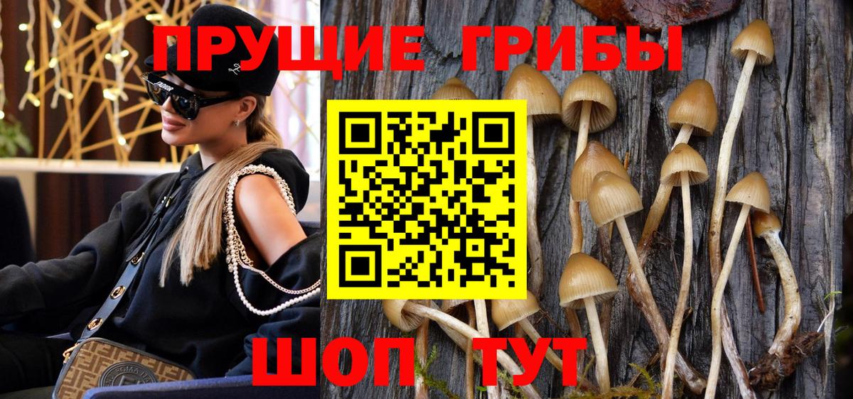 Галлюциногенные грибы Psilocybine cubensis Бутурлиновка