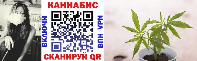 как найти   Бутурлиновка  Каннабис OG Kush 