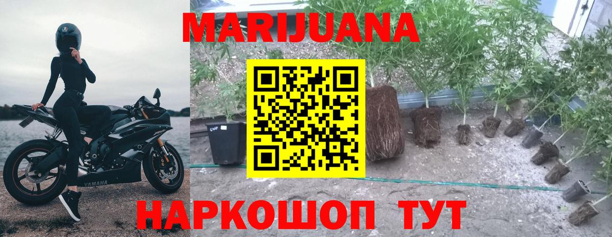 Каннабис OG Kush  Вход с VPN  Марихуана VHQ  Бутурлиновка  Канабис планчик 